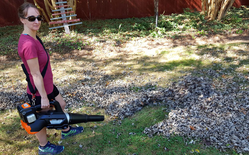 Yard Force Blower blowing leaves