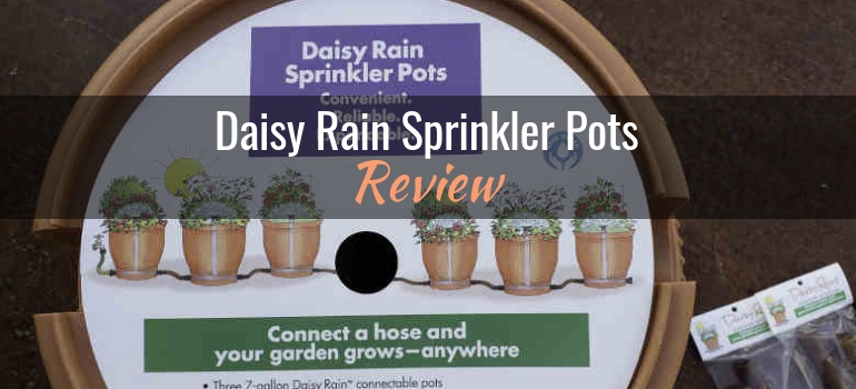 Daisy Rain Sprinkler Pots: Product Review