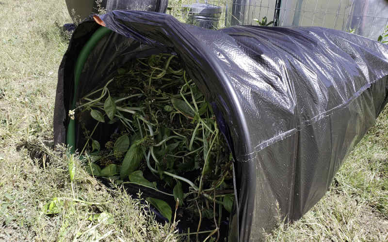 Raking plant material into the Leaf Gulp
