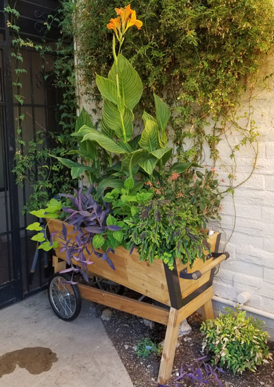 Rolling U-Garden growing well