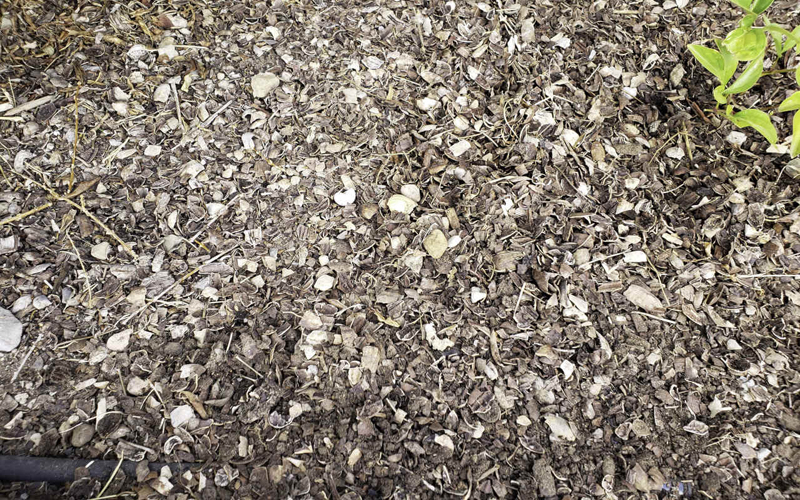 miracle gro soaker hose under mulch