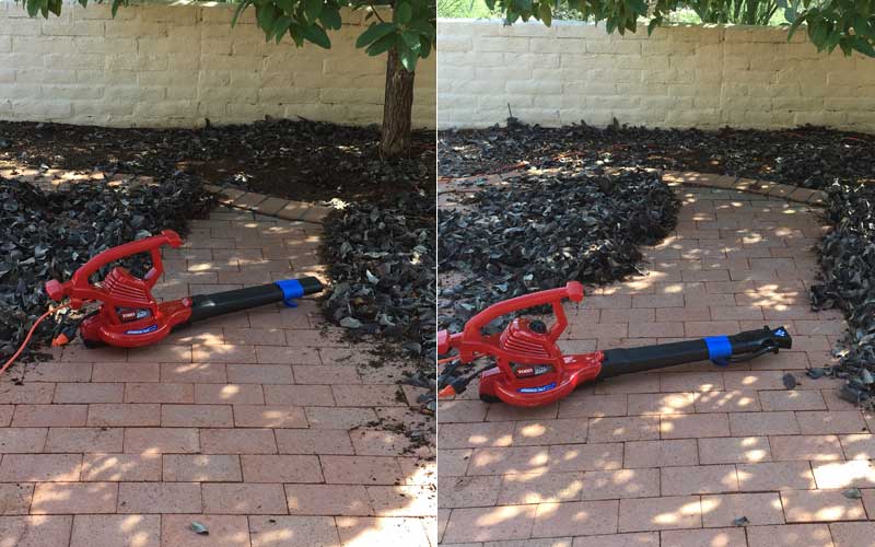 Toro UltraPlus Leaf Blower Vac Review