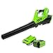 Greenworks 40V Li-Ion Blower