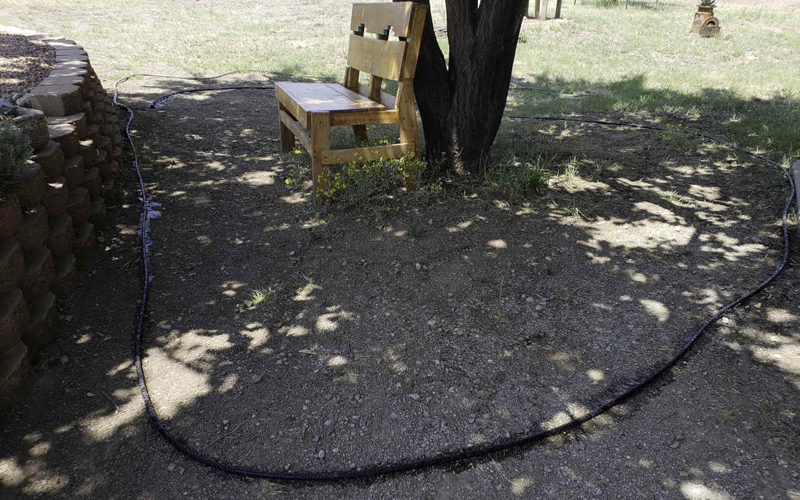 miracle gro soaker hose around tree