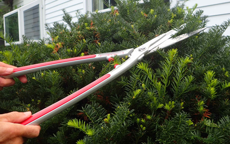 ARS 26-inch Professional Hedge Shears HS-KR1000