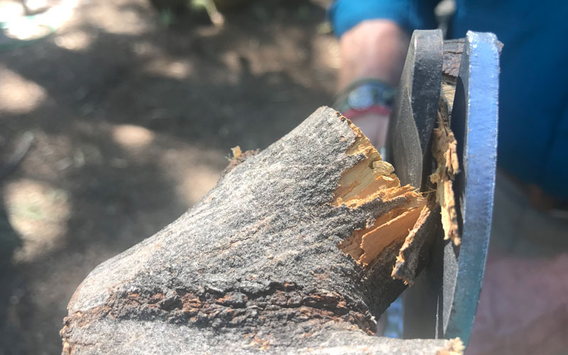 Centurion Multi Gear Lopper blade spread