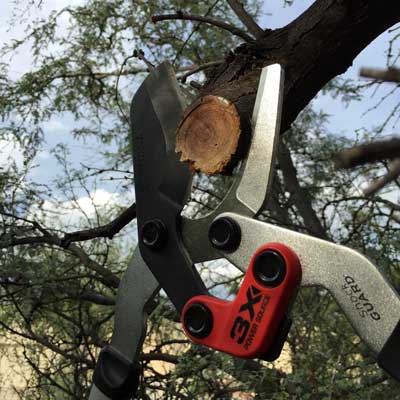 Conrona-(ComfortGEL-+-Extendable)-Loppers-deadwood