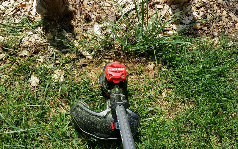 Craftsman 60V String Trimmer around tree