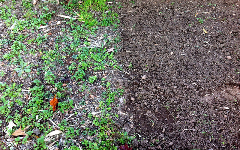 side by side comparison