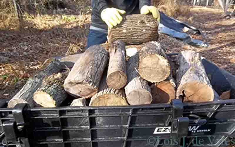 EZ-Stow Hauler Cart Full of Wood