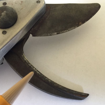 Felco 7 wire cutter sap groove