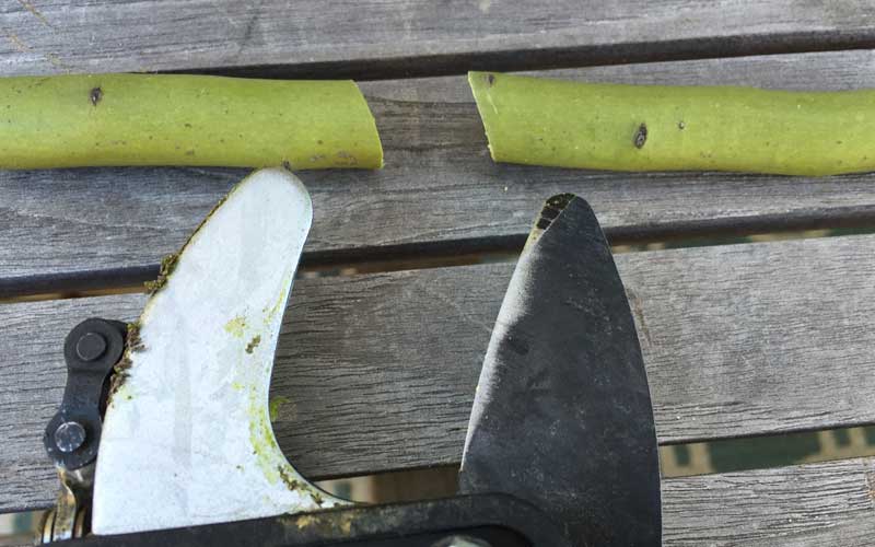 Clean cuts were achieve with materials ranging from ½” to 1”