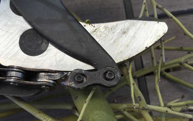 The new chain link design is already in production at the manufacturer. I experience no problems. It worked flawlessly!