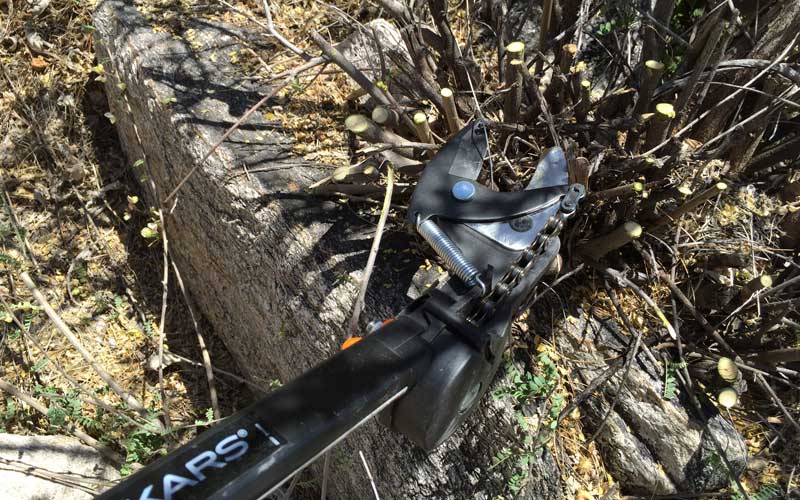 The adjustable head made it easy to cut materials at ground level without bending over, AND keep the cutting blades out of the dirt (dulling them) when cutting brush, shrubs to the ground.