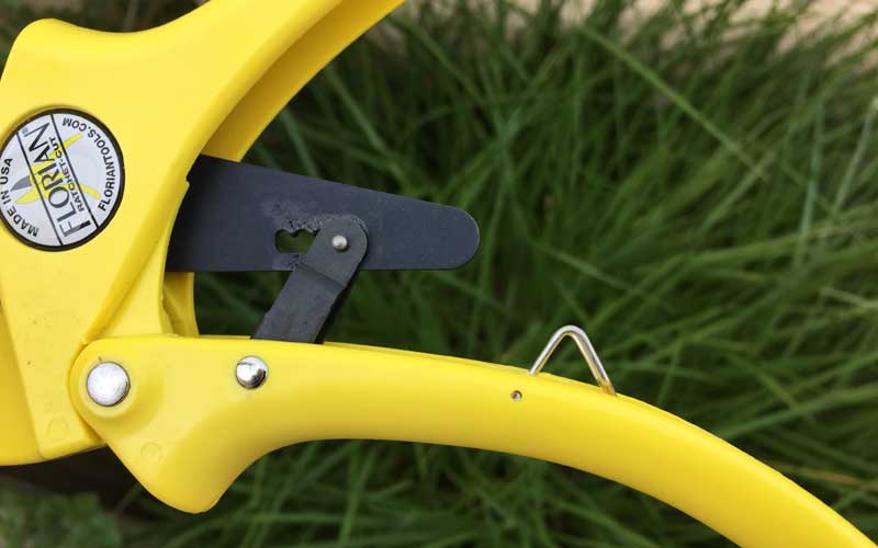 lock and ratchet on Florian pruner