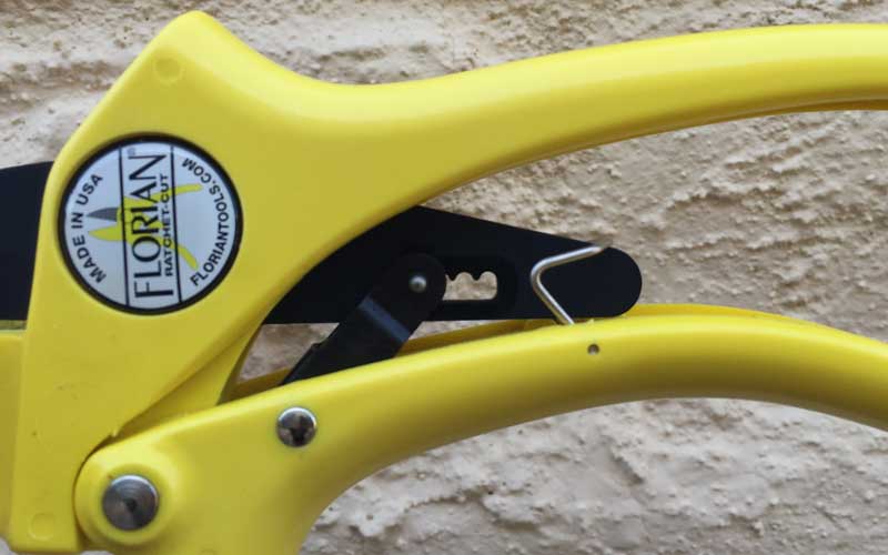 lock on Florian pruner