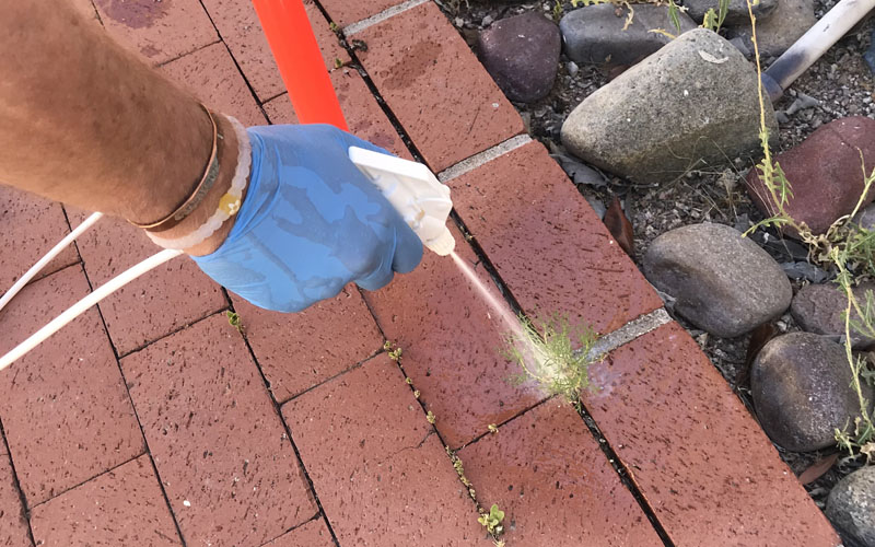 Spraying with the FreedomWeeder