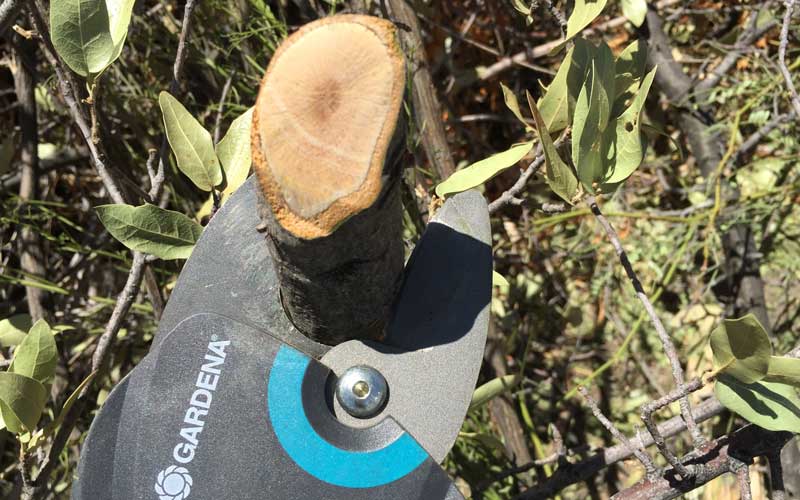 Gardena-StarCut-160-BL-3