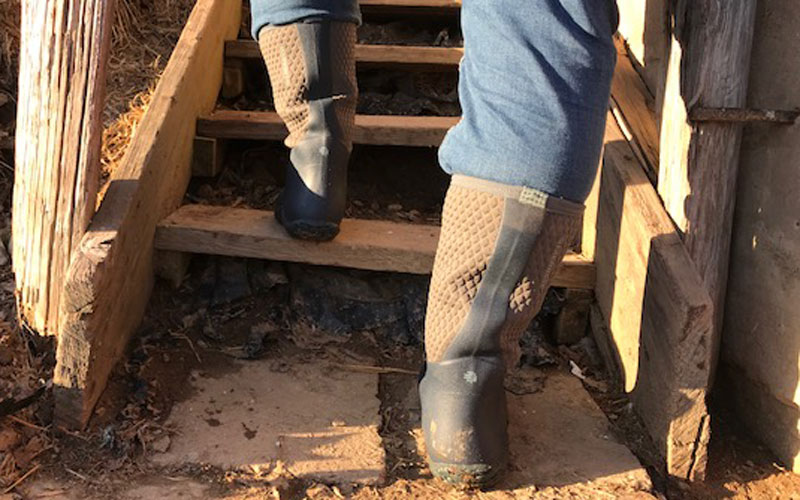 Lacrosse alpha lite boot on steps