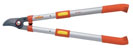 Best Loppers for Pruning