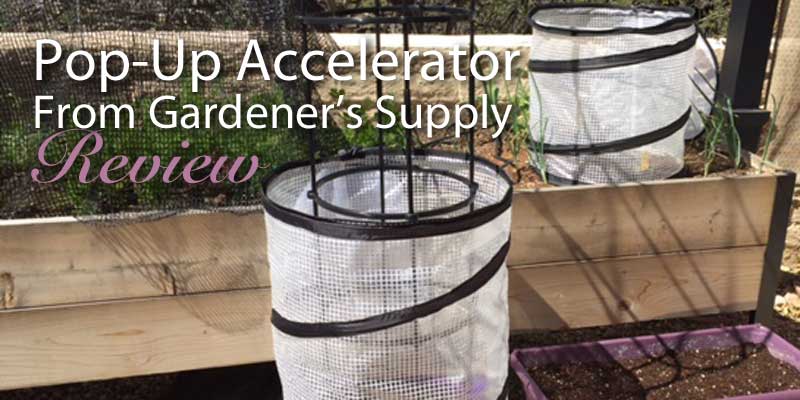 Pop-Up Accelerator review