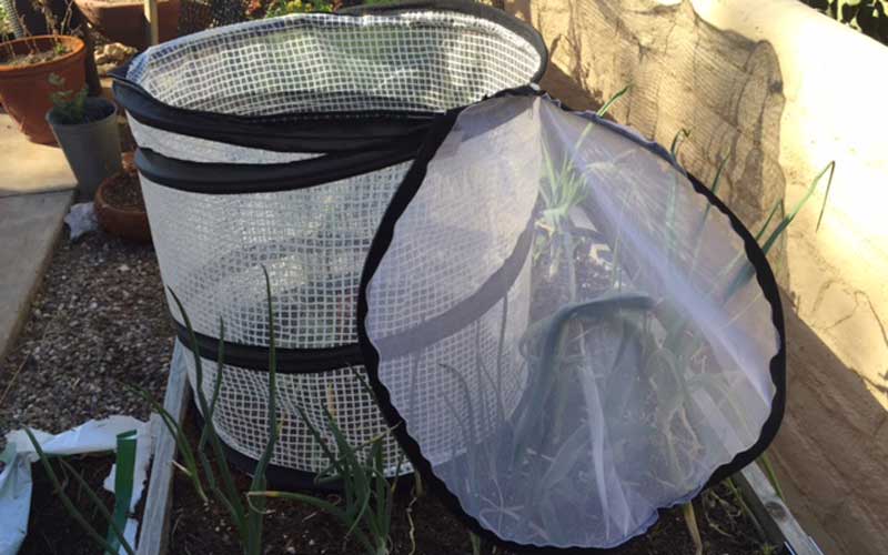 pop-up accelerator with mesh top