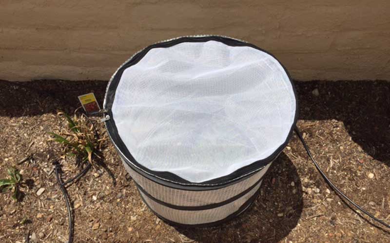 mesh top on pop-up accelerator