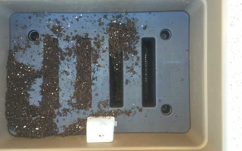 wicking channels in planter