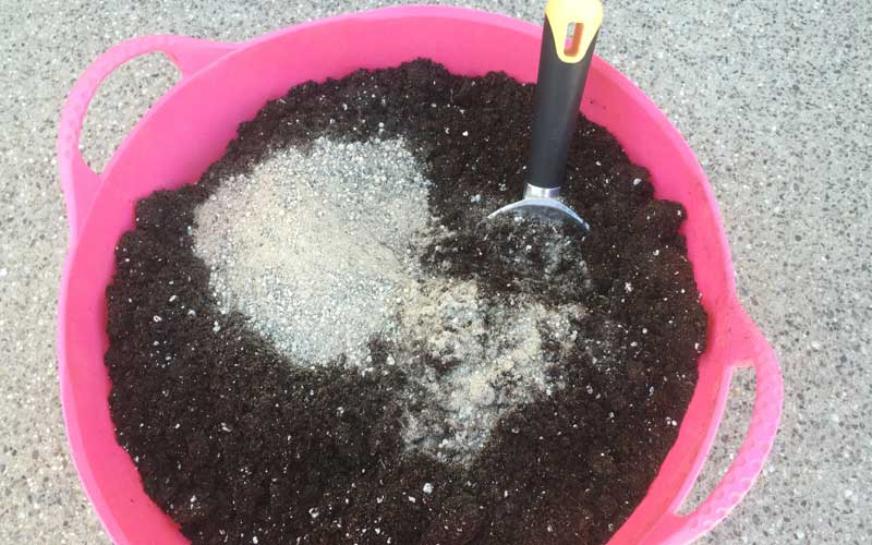 potting mix and fertilizer in Tomato Success Kit