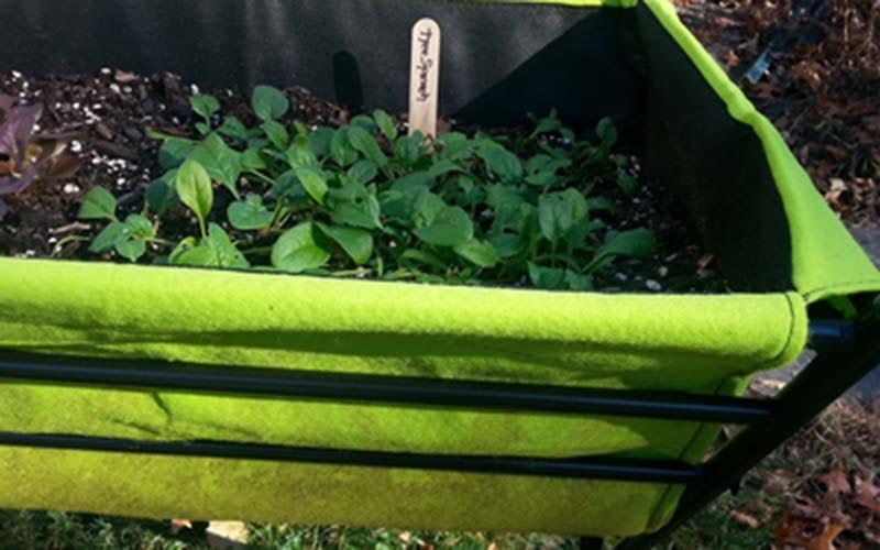 Sturdy & stable Poppy Planter