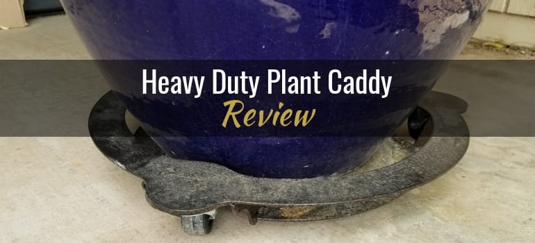 Heavy Duty Plant Caddy from Cascade Manufacturing: Product Review