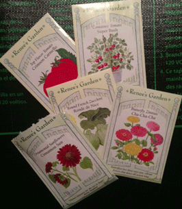 Zinnia seeds from Renees Seeds