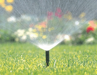spring sprinkler check-up