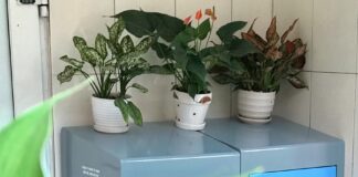 Top 3 Premier Websites for Stainless Steel Trash Cans (Thùng Rác Inox) in Hanoi & HCM City