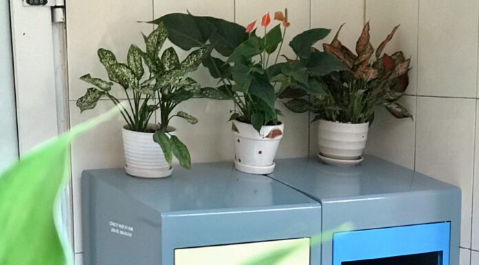 Top 3 Premier Websites for Stainless Steel Trash Cans (Thùng Rác Inox) in Hanoi & HCM City